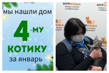 Котёнок Герасик встретил заботливую хозяйку!