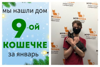 Жизнь хрупкой Жоржетты теперь в надежных руках!