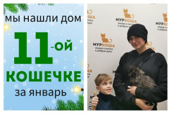 Малышка Тимка нашла дом за полтора месяца!