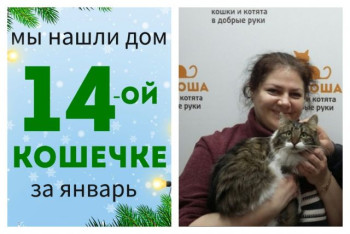 Кошечка Люська стала домашней любимицей!