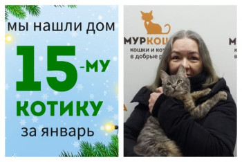 Котенок Демьян теперь домашний!