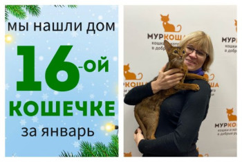 Кошечка Марьяша начинает жизнь с чистого листа!