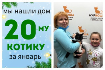 Котик Мелодий познакомился со своей новой семьей!