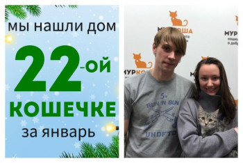 Кошечка Пугляшка начинает домашнюю жизнь!
