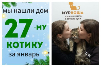 Котик Мафей снова домашний и счастливый!