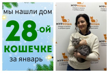 У кошечки Баунти начинается райская домашняя жизнь!