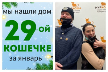 Кошечка Джеймси рада познакомить со своей семьей!