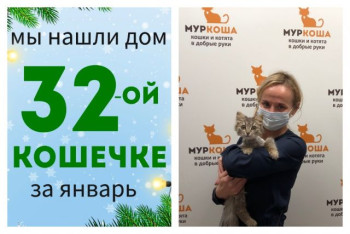 Маленькая Малага стала домашней и любимой кошечкой!