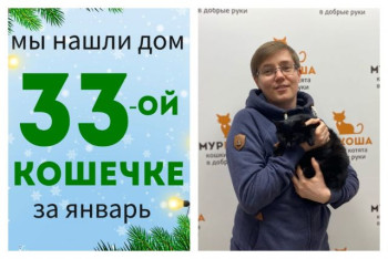 Кошечка Мурья стала домашней за один месяц!