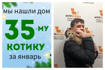 Котик Бубик уезжает в новый дом!