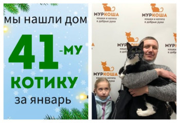 Двухлетний котик Дарвин начинает новую жизнь!