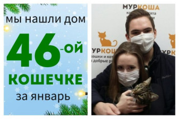 Кошечка Косичка отправилась домой!