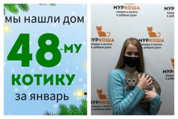 Котик Брют вытянул свой счастливый билет домой!