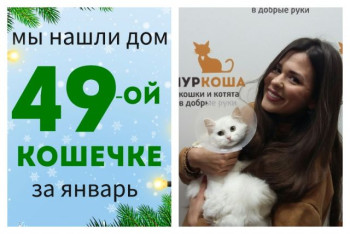 Очаровательная Белошейка познакомилась со своей хозяйкой!