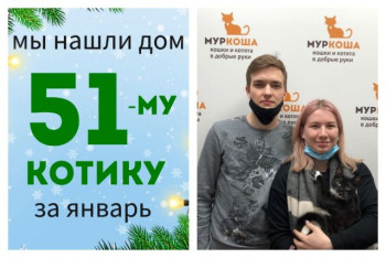 Милый Карасик встретил надежную семью!