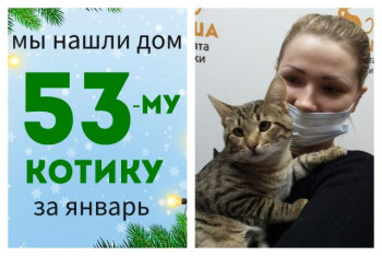 Котик Пижон отправился домой!