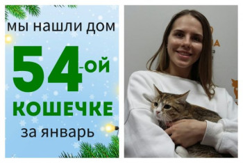 Кошечка Софико обрела домашнее счастье!