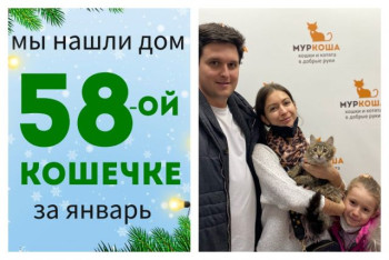 Юная кошечка Нюня познакомилась со своими хозяевами!