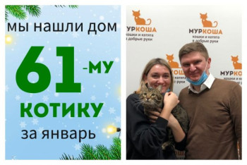 Котик Павлик стал домашним!