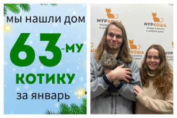 Пирус стал домашним котиком!
