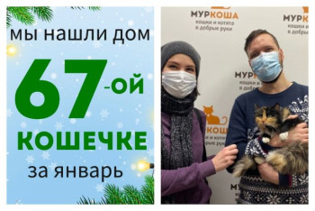 Кошечка Пухля встретила верных друзей!