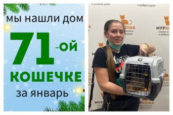 Кошечка Юляша познакомилась со своей хозяйкой!