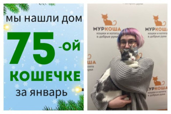 Милая Брошечка встретила свою надежную хозяйку!