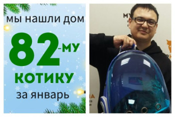 Котенок Армстронг отправляется домой!