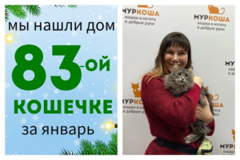 Кошечка Косуля встретила любящую хозяйку!