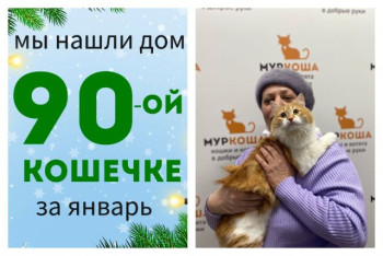 Кошечка Глаша нашла дом за два месяца!