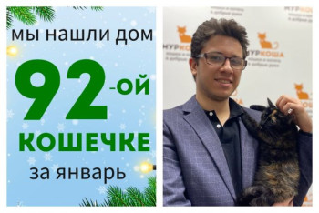 Кошечка Мурмышка встретила надежного хозяина!