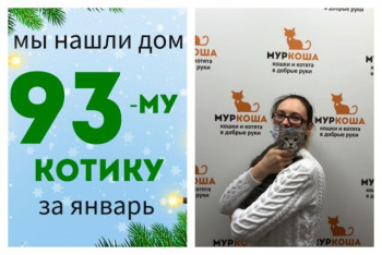 Пятимесячный Лясик отправляется в счастливую домашнюю жизнь!
