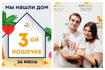 Малышка Паинька стала домашней!