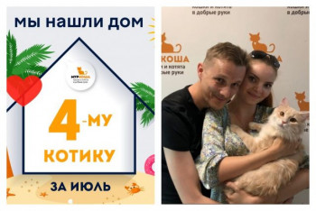 Котик Дроздов отправился в главное путешествие – домой!