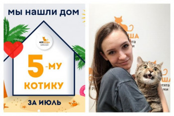 Котик Эмбертон встретил свою прекрасную хозяйку!