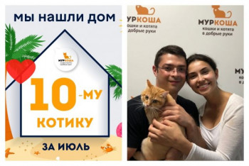 У котика Хаксли теперь есть дом и семья!