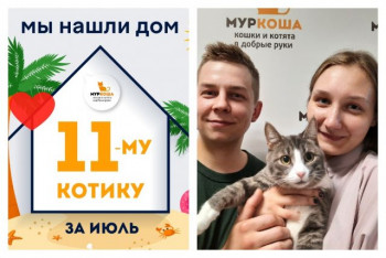 Очаровательный Кассир отправился в домашнюю жизнь!