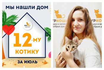 Малыш Валерьян отправляется в свой новый дом!