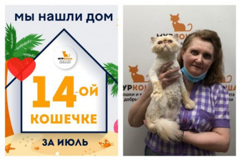 Кошечка Маваши стала частью прекрасной семьи!