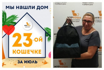 Семилетняя кошечка Эври стала домашней и любимой!