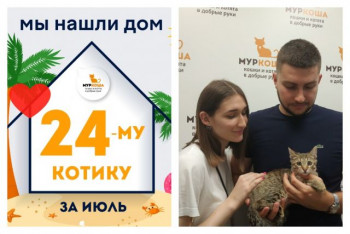 Малыш Ратмир стал домашним и счастливым!