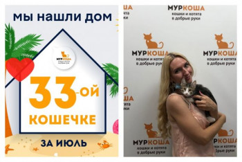 Крошка Луизочка стала домашней и счастливой!