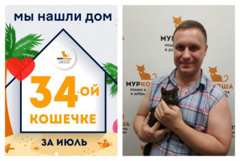 Крошечная Дымочка стала домашней за полтора месяца!