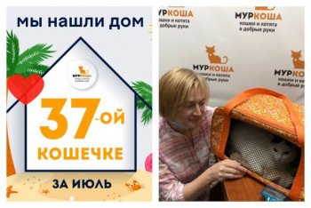 Кошечка Морозко начинает домашнюю жизнь!