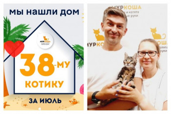 Котёнок Сантик стал домашним всего за месяц!