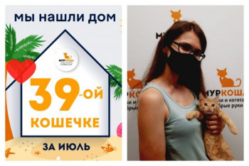 Кошечка Лимончелла рада познакомить со своей хозяйкой!