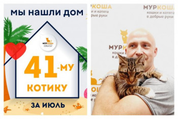 Котик Маркус стал домашним и счастливым!