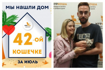 Очаровательная кошечка Бирюлька стала домашней любимицей!