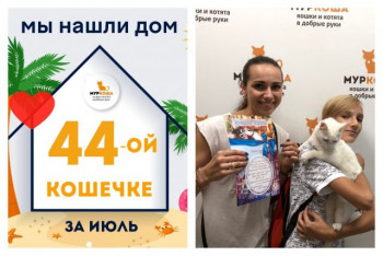 Красавица Неля начинает жизнь с чистого листа!