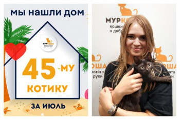 Крошка Брейк теперь в надёжных руках!